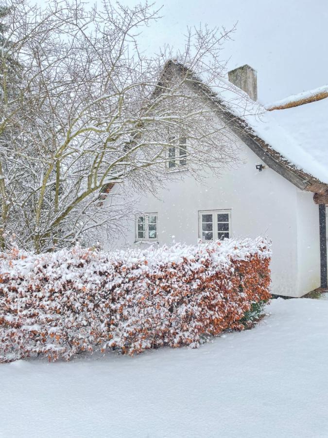 Apple Cottage Vejby Zewnętrze zdjęcie