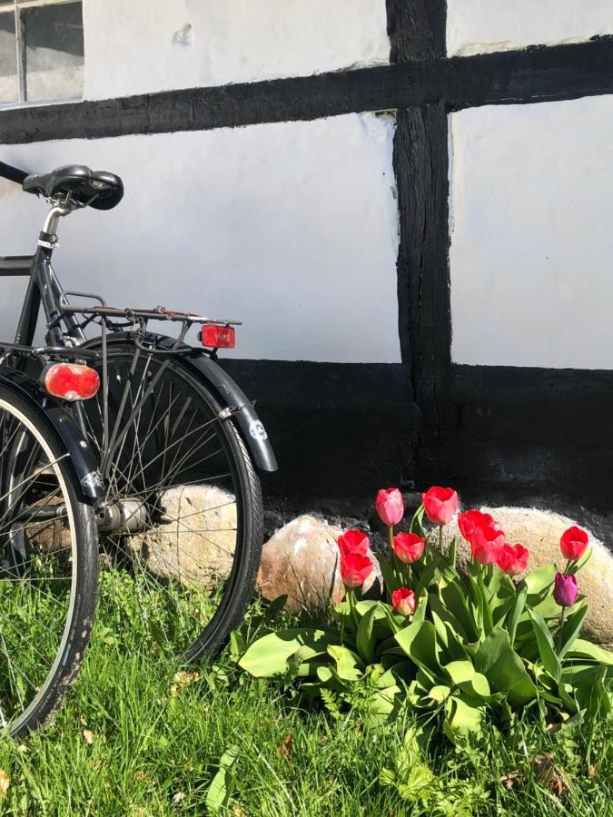 Apple Cottage Vejby Zewnętrze zdjęcie