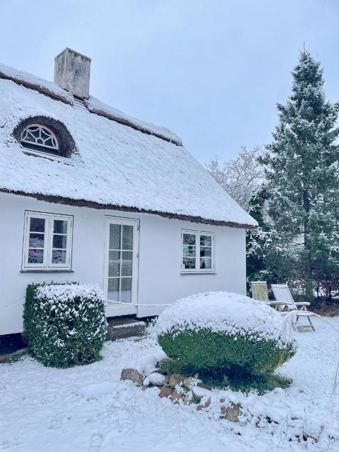 Apple Cottage Vejby Zewnętrze zdjęcie