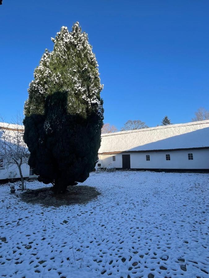Apple Cottage Vejby Zewnętrze zdjęcie