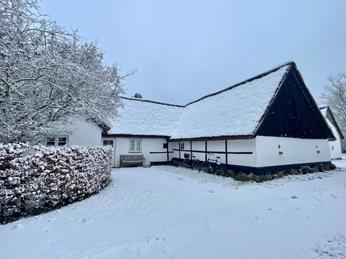 Apple Cottage Vejby Zewnętrze zdjęcie