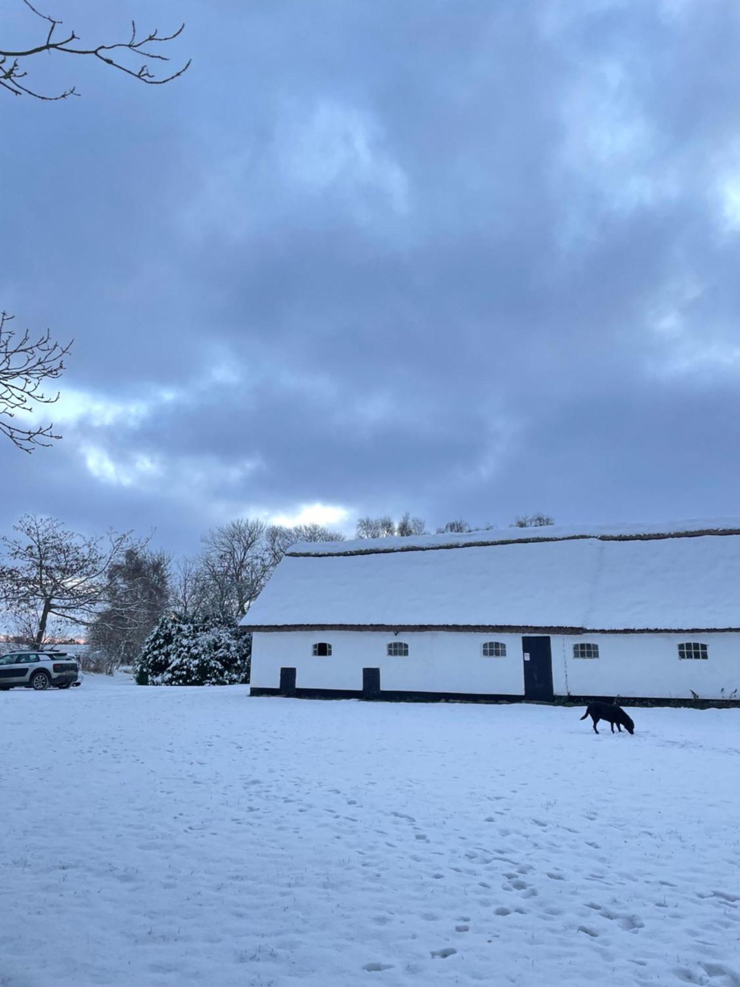 Apple Cottage Vejby Zewnętrze zdjęcie