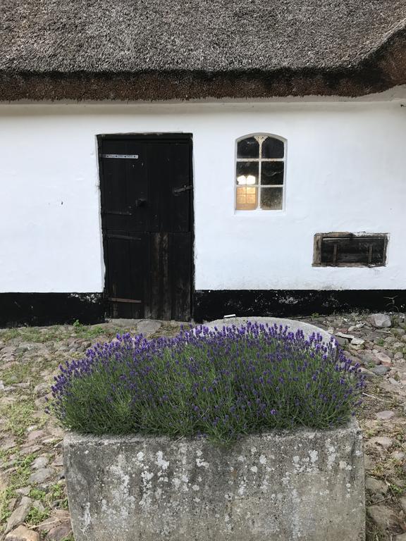 Apple Cottage Vejby Zewnętrze zdjęcie