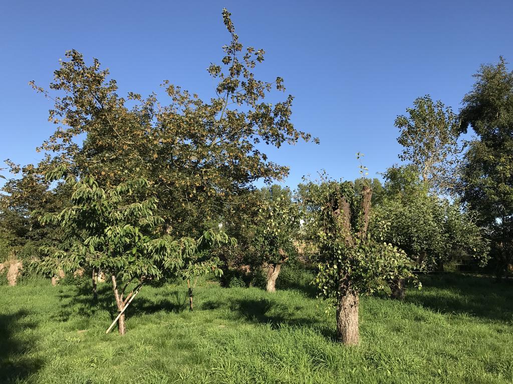 Apple Cottage Vejby Zewnętrze zdjęcie
