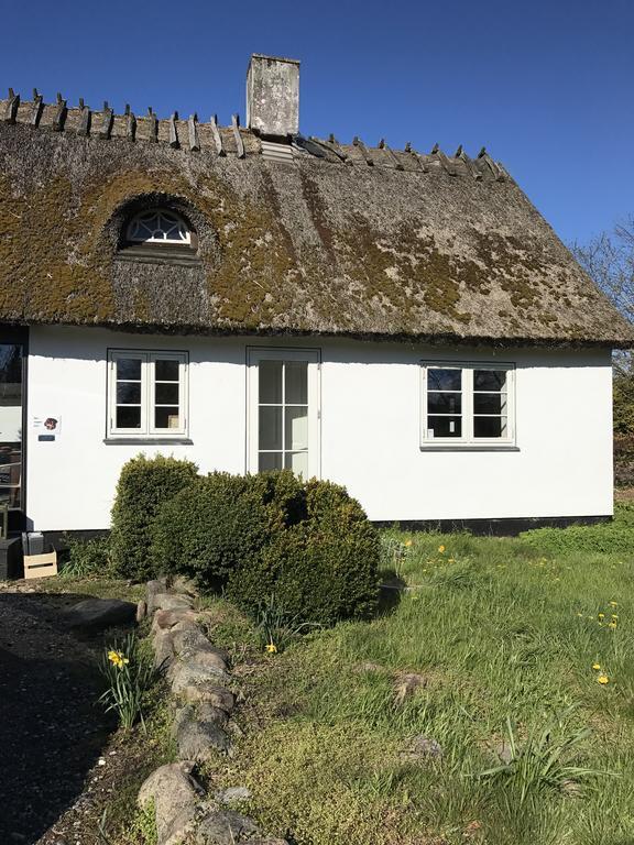 Apple Cottage Vejby Zewnętrze zdjęcie