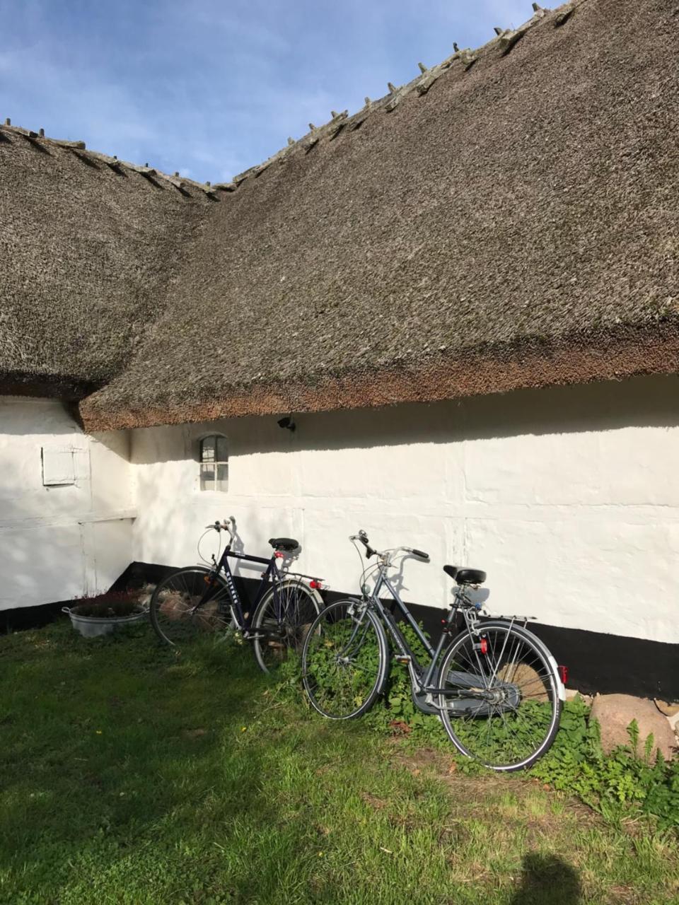 Apple Cottage Vejby Zewnętrze zdjęcie